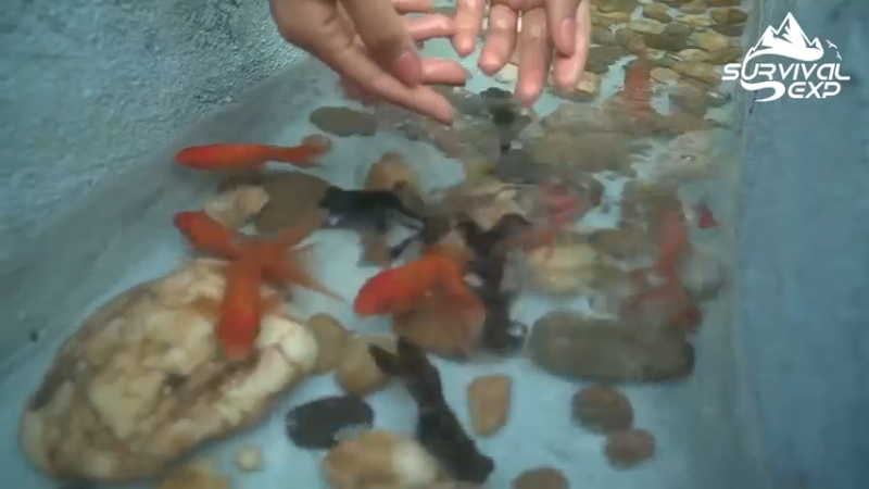 小姐姐  离家出走 打造乡村美美小窝，过上田园生活