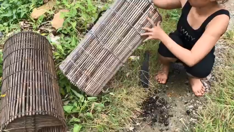 嫂子在田里放地篓2，看看抓到了什么，哇哇哇！