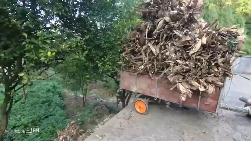 开卡丁车去拉包谷杆，遇到陡坡上不来，喊两个村花压车6