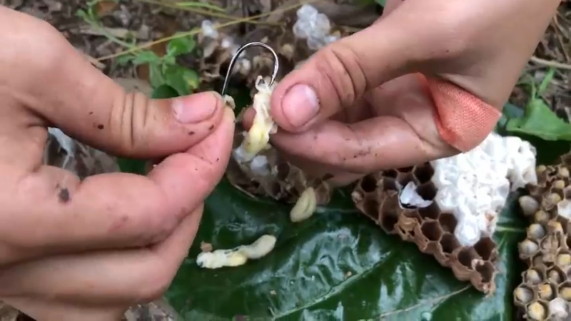 小河边，看到嫂子拿拿虫蛹7钓鱼！爆浆了！鱼上钩了，都好大