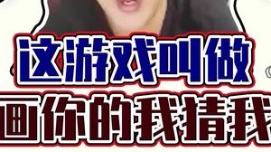 这游戏叫做，你画你的我猜我的。2