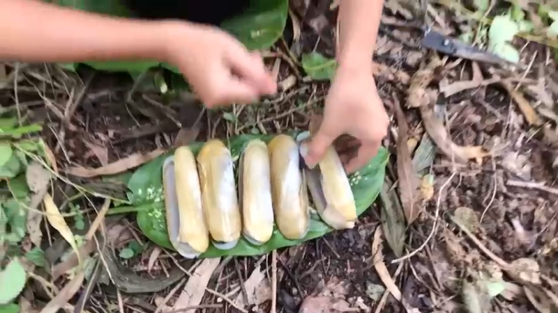 害我天天吃鱼！美丽乡村1嫂子拿拿海鲜钓淡水鱼！真是。。败家！
