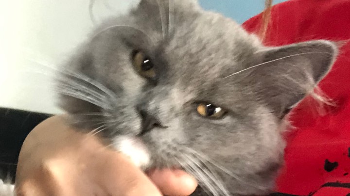意识真的很重要