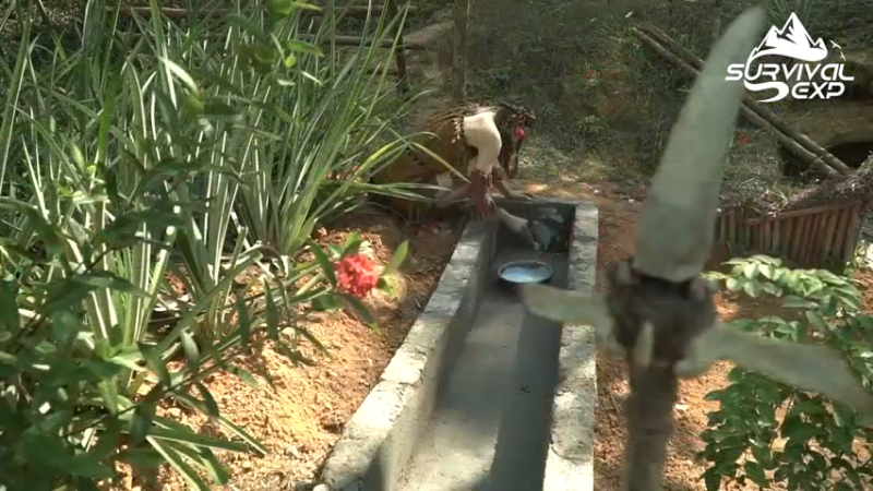 女孩 离家出走 打造乡村美美小窝，过上田园生活