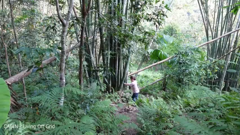 【记录农村生活】云淡风轻(day)(60)搭建厨房 持续更新 喜欢点个关注吧