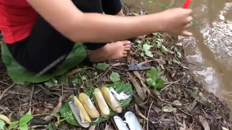 害我天天吃鱼！美丽乡村3嫂子拿拿海鲜钓淡水鱼！真是。。败家！