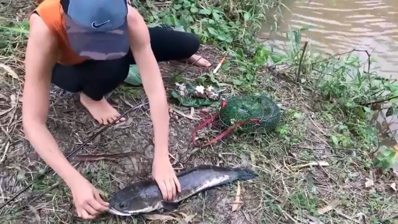 小河边，看到嫂子拿拿虫蛹8钓鱼！爆浆了！鱼上钩了，都好大