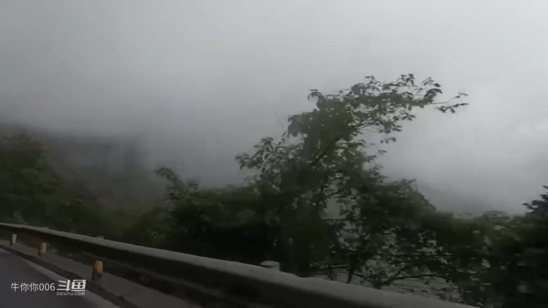 媳妇提个馊点子要去捡菌，大老远的白跑一趟，不过宝宝玩得开心1