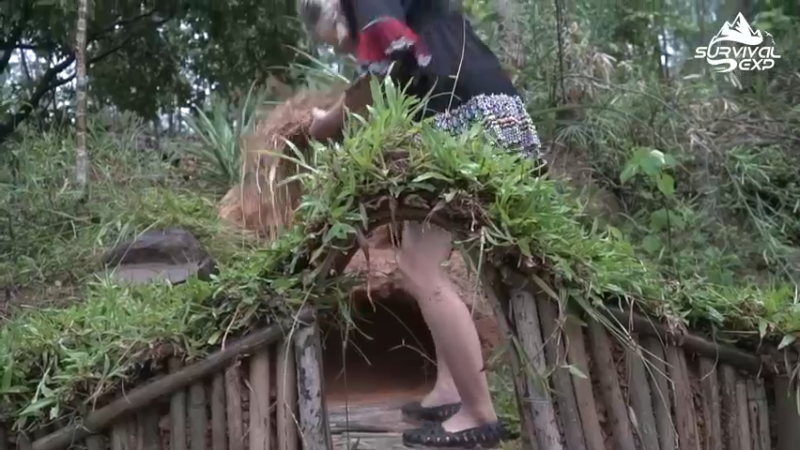 (8)吃鸡了！真香后，还是要自己养一点，小鸡的豪宅！