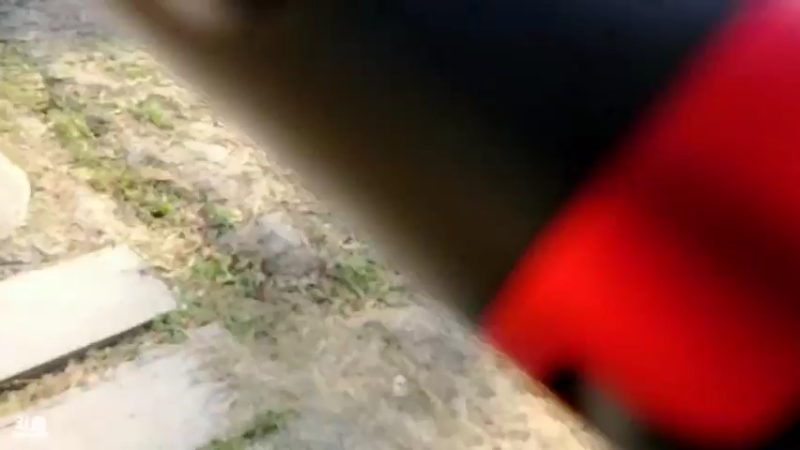 【2021-09-22 15点场】骆歆冲冲冲：骆歆：郊外喂蚊子