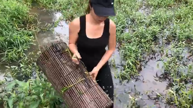 嫂子在田里放地篓7，看看抓到了什么，哇哇哇！