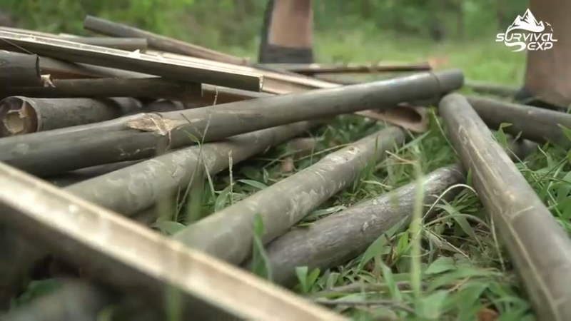 还是要自己养一点小鸡的豪宅！吃鸡了！真香后，