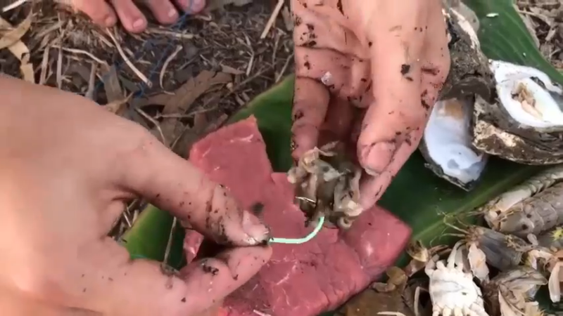 天天吃鱼！6回乡下，看到嫂子拿奇怪的东西钓鱼，居然拿鲍鱼和牛肉钓鱼，败家，害我天天吃鱼！
