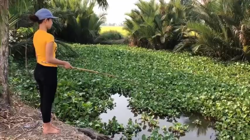 天天吃鱼！4回乡下，看到嫂子拿奇怪的东西钓鱼，居然拿鲍鱼和牛肉钓鱼，败家，害我天天吃鱼！