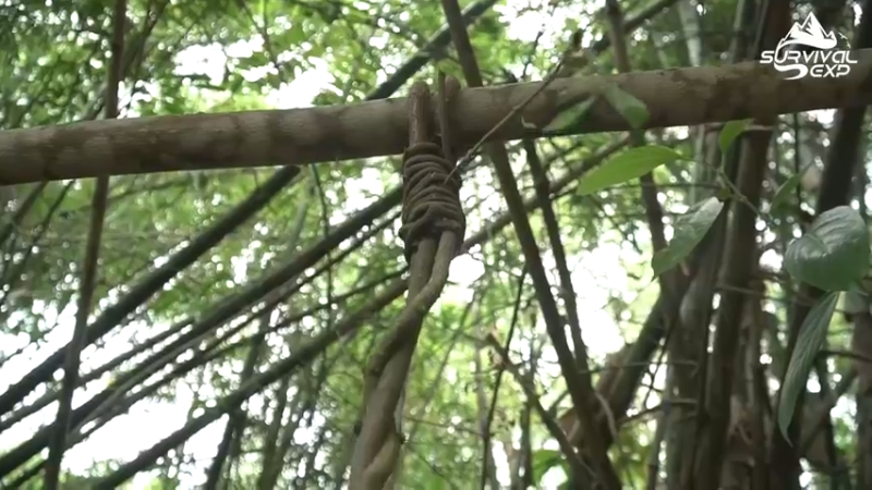 (8)在离家的日子在树上制作一个休闲吊椅-欣赏乡野美景