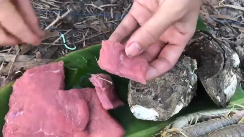 天天吃鱼！1回乡下，看到嫂子拿奇怪的东西钓鱼，居然拿鲍鱼和牛肉钓鱼，败家，害我天天吃鱼！