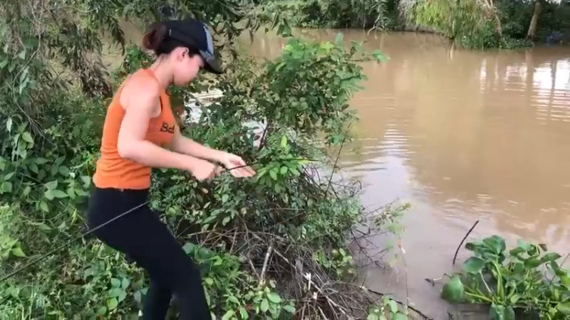 小河边，看到嫂子拿拿虫蛹3钓鱼！爆浆了！鱼上钩了，都好大