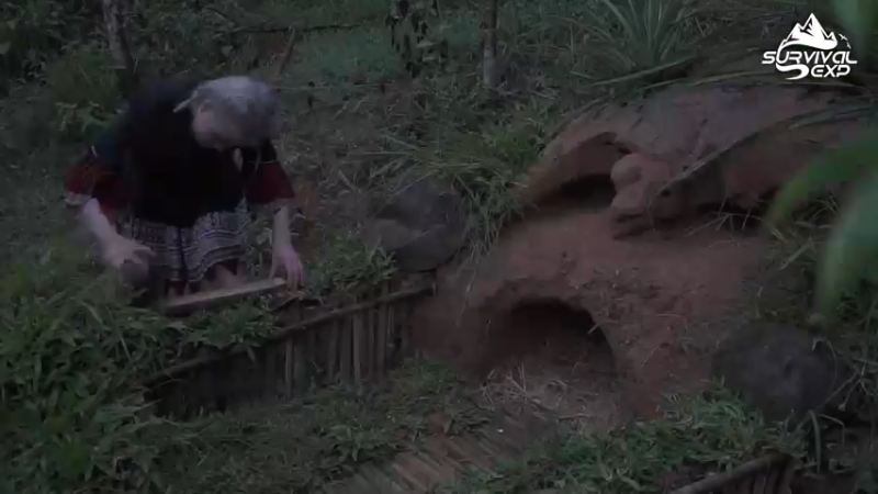 (9)吃鸡了！真香后，还是要自己养一点，小鸡的豪宅！