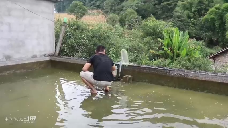 早上先给楼顶鱼池换个水，下午又帮邻居拉包谷，媳妇还要叫我扫地3