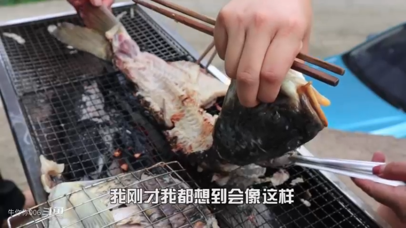 小代在水库钓到大鲤鱼，拿回家媳妇随便一整，又是香喷喷的一盘菜2
