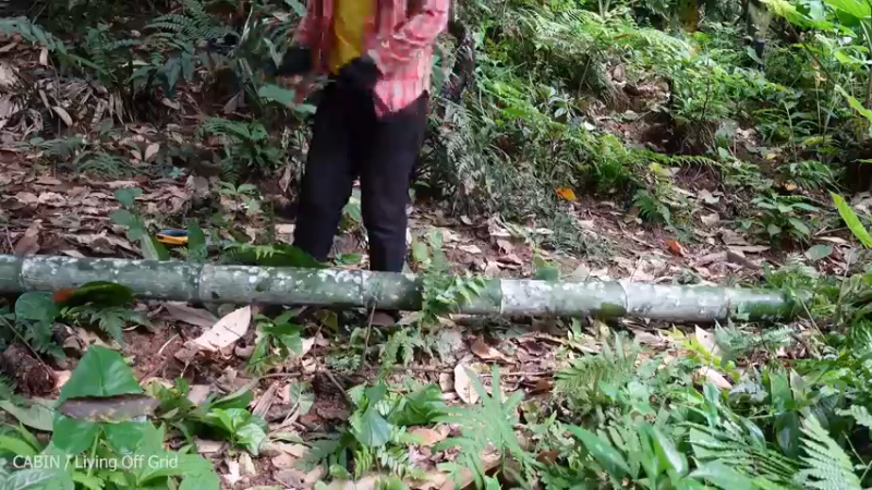 【记录农村生活】云淡风轻(day)(3)村里没年轻人了；我去山里建了小房子