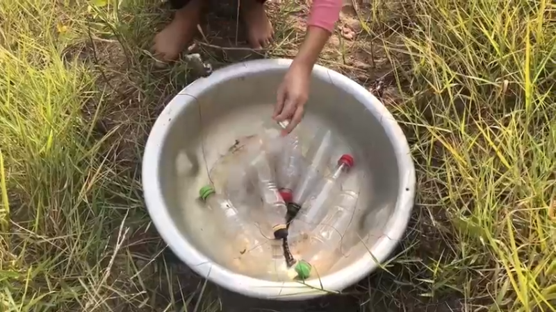 乡野渔获技术1看收饵，肯定没戏，结果收获一大盆，巨货，技术太牛了