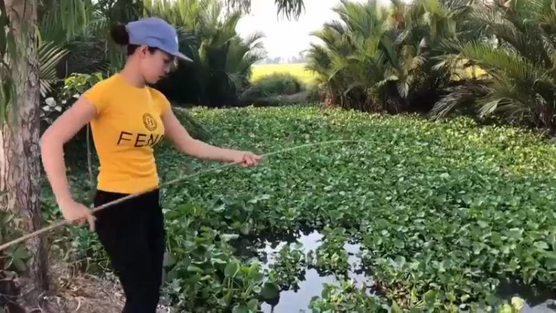 天天吃鱼！7回乡下，看到嫂子拿奇怪的东西钓鱼，居然拿鲍鱼和牛肉钓鱼，败家，害我天天吃鱼！