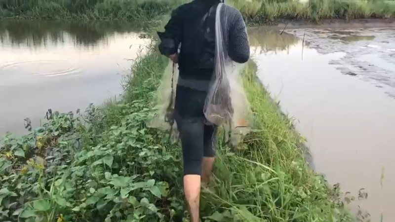 day7干塘了，嫂子来撒一把，优秀！好多！真鱼水之乡！太多了