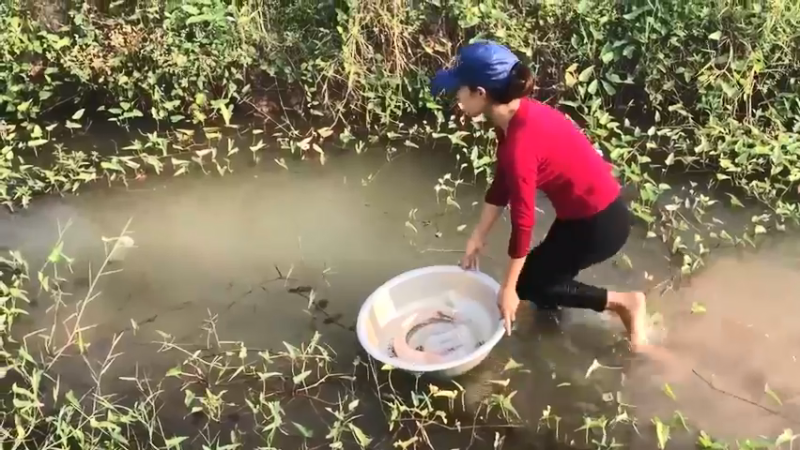 乡野渔获技术4看收饵，肯定没戏，结果收获一大盆，巨货，技术太牛了