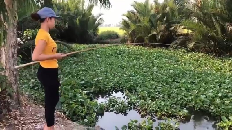 天天吃鱼！8回乡下，看到嫂子拿奇怪的东西钓鱼，居然拿鲍鱼和牛肉钓鱼，败家，害我天天吃鱼！