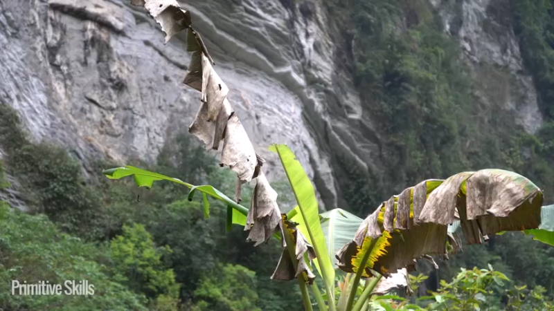 #农家研磨水车调试11荒野3基地】《如果你一无所有 进入单人我的世界，自由荒野 离网乐园 全手工制作耕种 快乐野外生活》