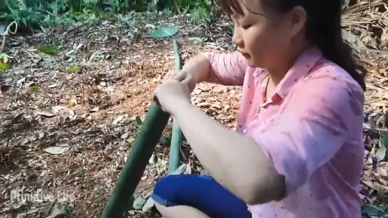 偏远边塞 云南妹子丛林之家(7)更新day2