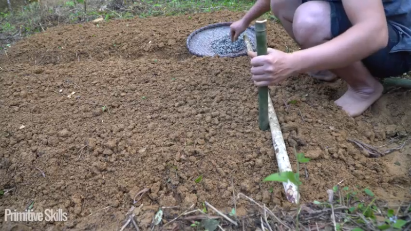 #木棉选种和农作物种植(14)【浪漫山野3基地】《如果你一无所有 进入单人我的世界，自由荒野 离网乐园 全手工制作耕种 快乐野外生活》