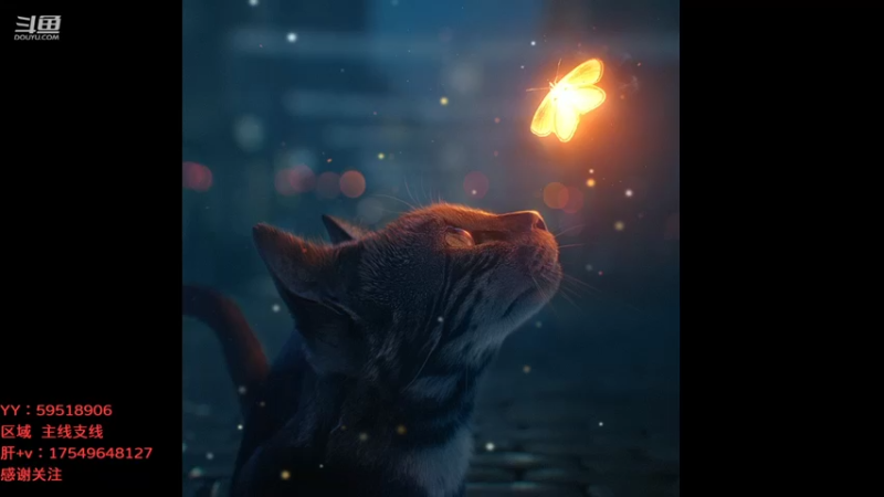 【2021-09-20 08点场】飞蛾小夏：飞蛾：国1，狼