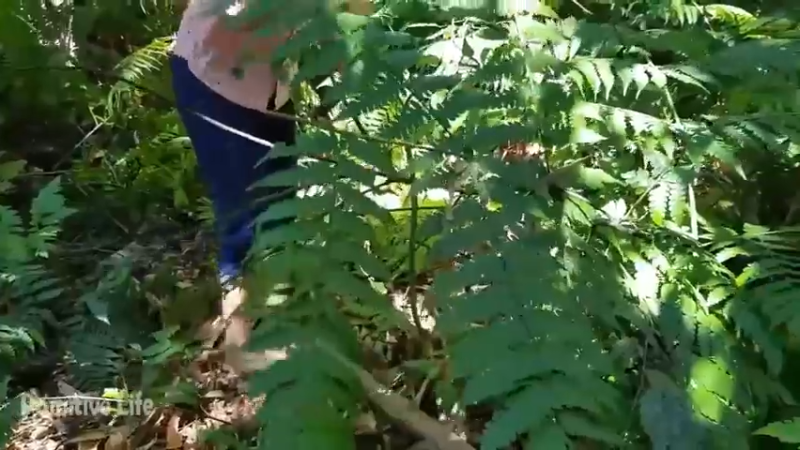 偏远边塞 云南妹子丛林之家(2)更新day2