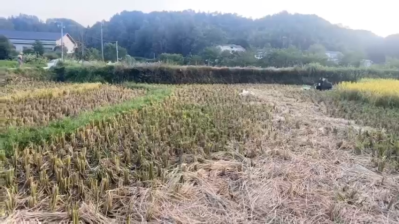 【2021-09-23 18点场】魅力生活i：丰收节:丰收宴一一湖南站