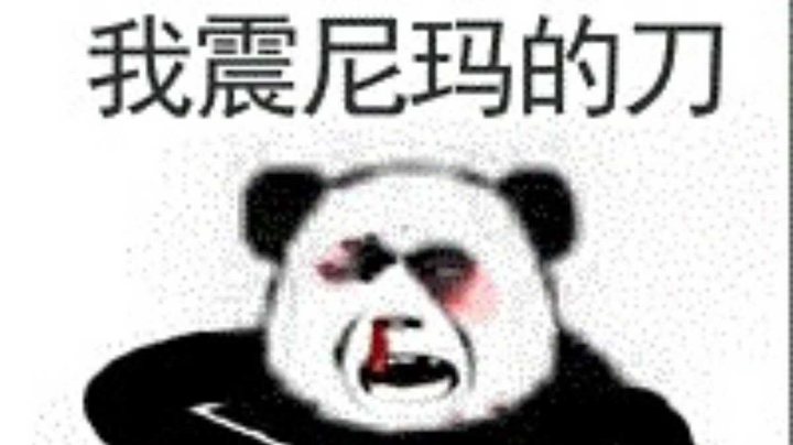 宁红叶完美大招