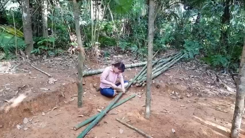 偏远边塞 云南妹子丛林之家(11)更新day5