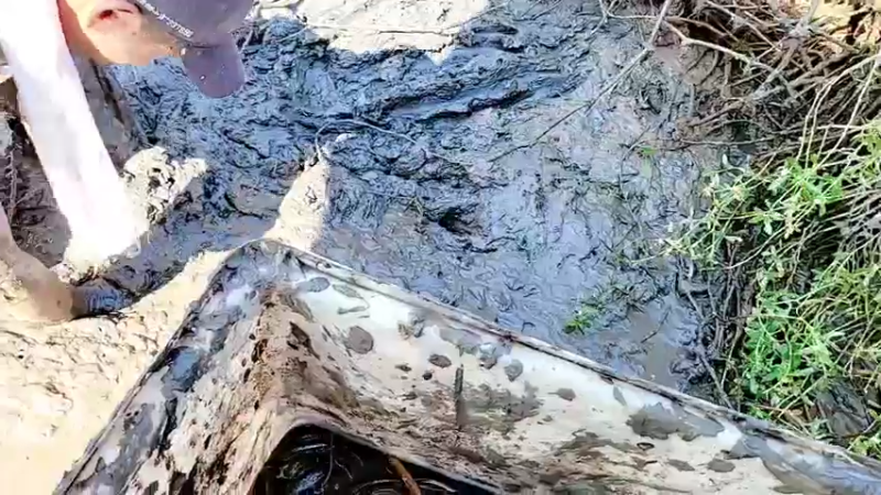 【2021-09-23 15点场】洪湖小肖：欢迎鱼皇回归