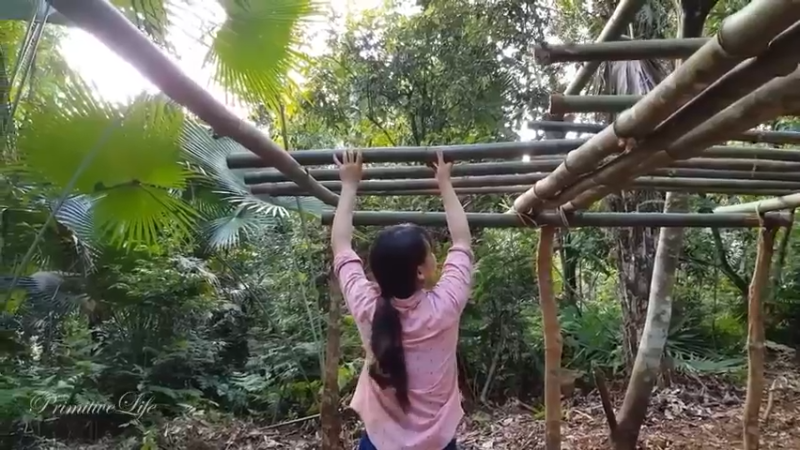 偏远边塞 云南妹子丛林之家(12)更新day5