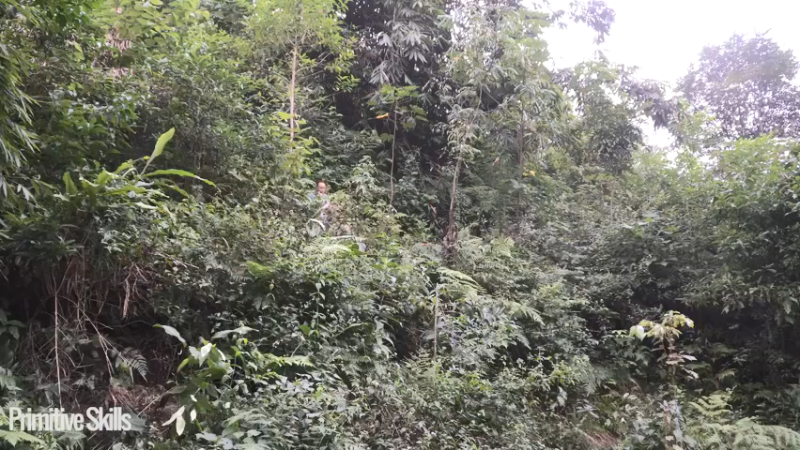 #木棉选种和农作物种植(6)【浪漫山野3基地】《如果你一无所有 进入单人我的世界，自由荒野 离网乐园 全手工制作耕种 快乐野外生活》