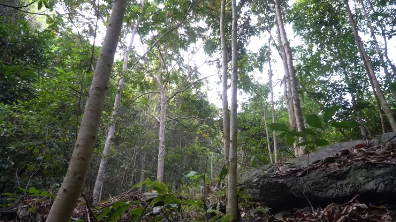 #农家研磨水车调试1荒野3基地】《如果你一无所有 进入单人我的世界，自由荒野 离网乐园 全手工制作耕种 快乐野外生活》