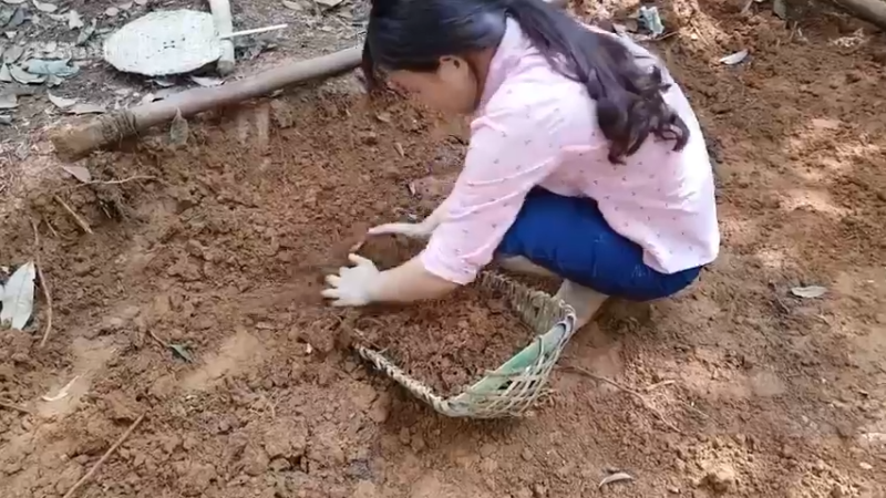 偏远边塞 云南妹子丛林之家(5)更新4
