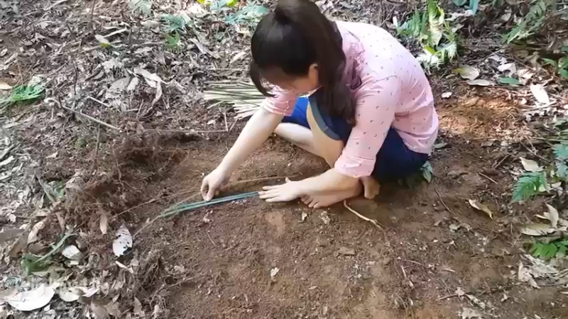 偏远边塞 云南妹子丛林之家(9)更新day2