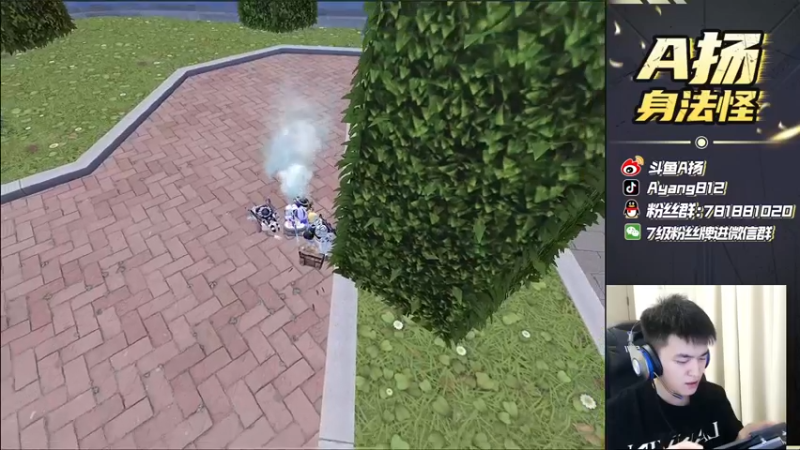 【2021-09-22 21点场】A扬丷：《4LOGO海岛把把鸡》