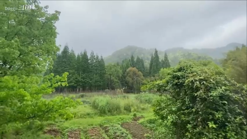 夏日的乡野生活（3）