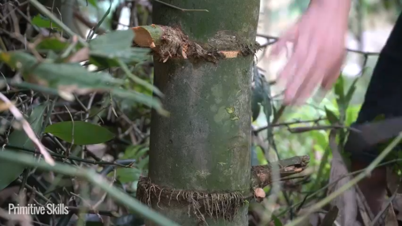 #农家研磨水车调试15荒野3基地】《如果你一无所有 进入单人我的世界，自由荒野 离网乐园 全手工制作耕种 快乐野外生活》