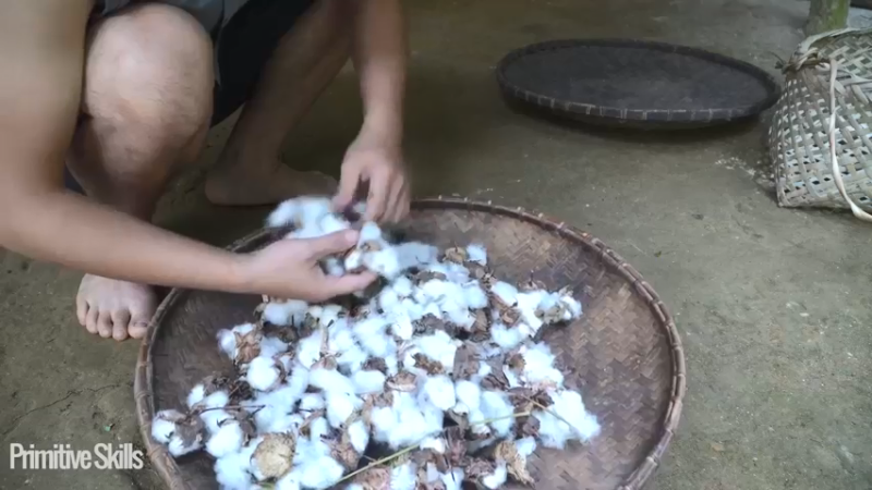 #木棉选种和农作物种植(8)【浪漫山野3基地】《如果你一无所有 进入单人我的世界，自由荒野 离网乐园 全手工制作耕种 快乐野外生活》