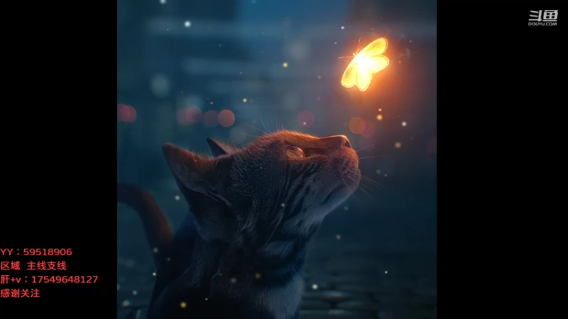 【2021-09-22 10点场】飞蛾小夏：飞蛾：中秋快乐，祝团圆