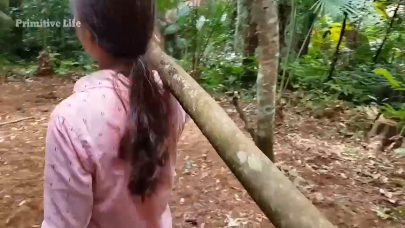 偏远边塞 云南妹子丛林之家(3)更新4